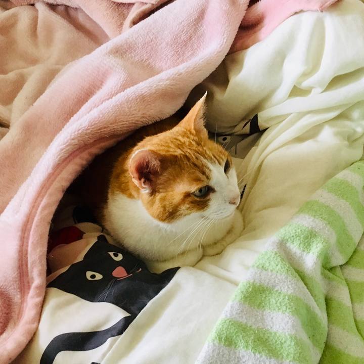 1c65a09c b396 4a92 bd38 9871e849c485 1553581975417