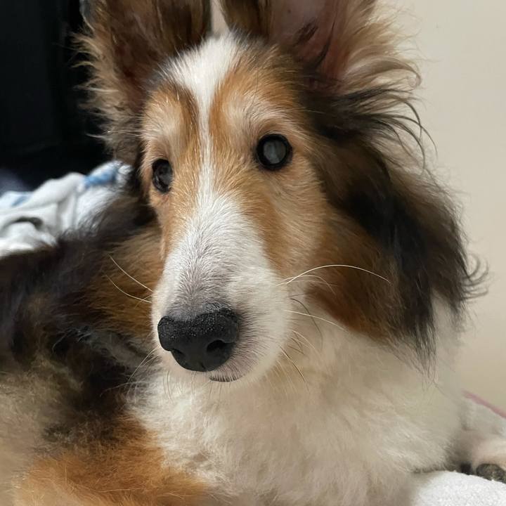 1c65c4c9 783b 424d 890a 314a08b7f100 1628914556176