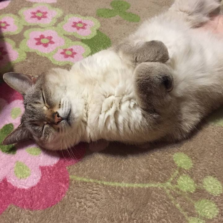 1c65cda5 71f2 413b 90e2 48f0dad40b44 1519991499546