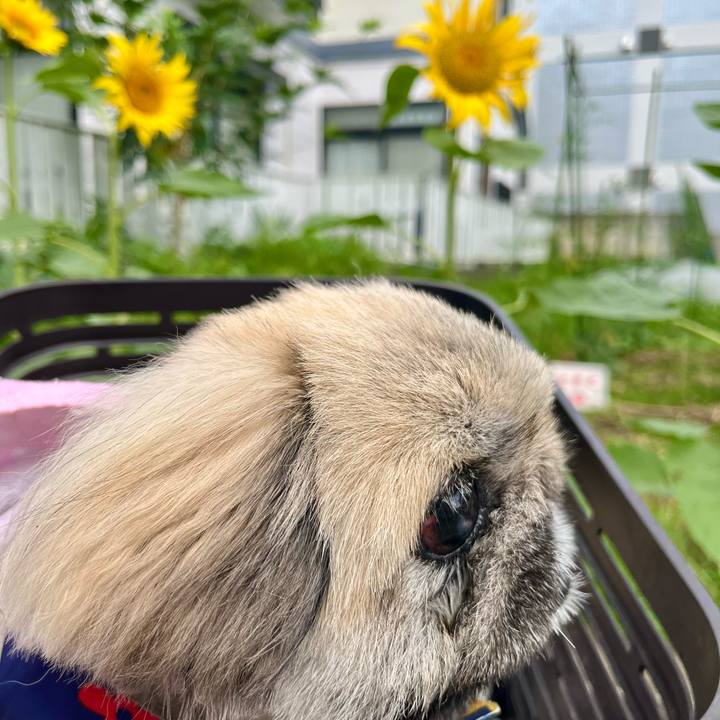 1c65d777 6eba 48a7 8096 9384e3d49799 1751502361500