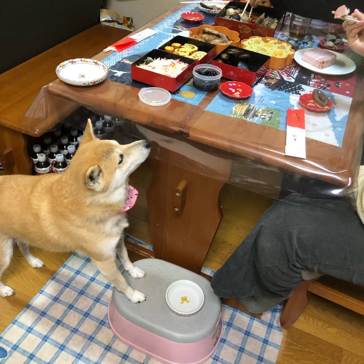 1c65ea3a 0e2a 42bc aa2f 20aab93b101b 1577861726428