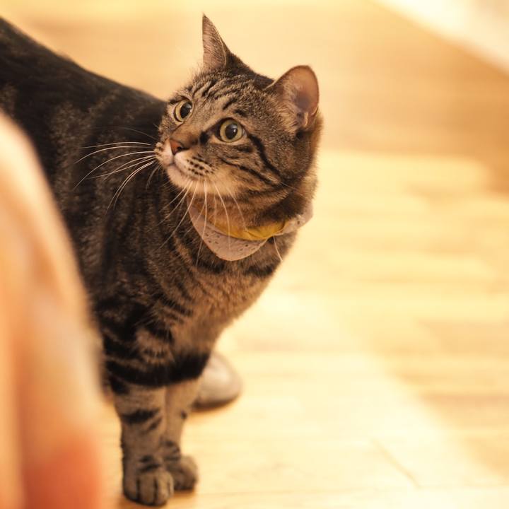 1c65ec03 c17c 49c8 b262 b9b8381a8160 1692885454930