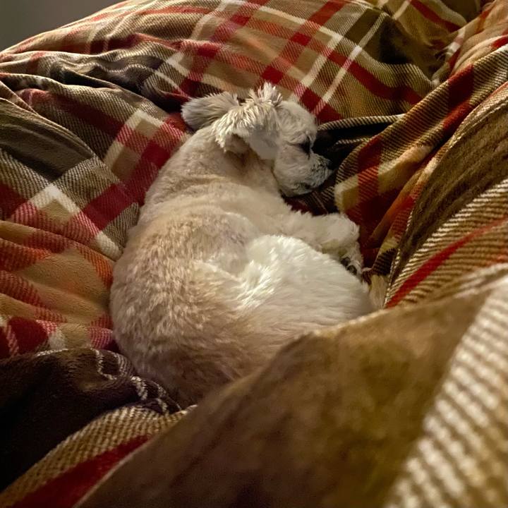 1c663926 d16f 491e a506 fe2761b3553e 1642770894986