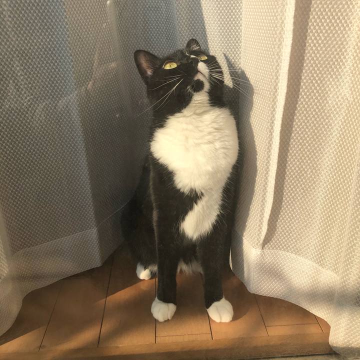 1c66ac62 921e 4396 b628 3357e3a3e4ec 1528233950572