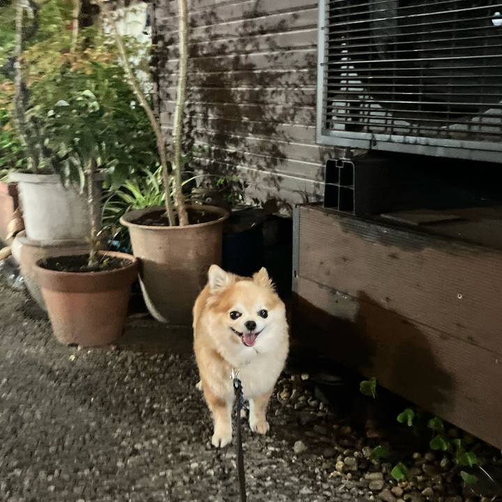 1c66aede 216c 4524 8de4 6305f3b171bf 1762094618475