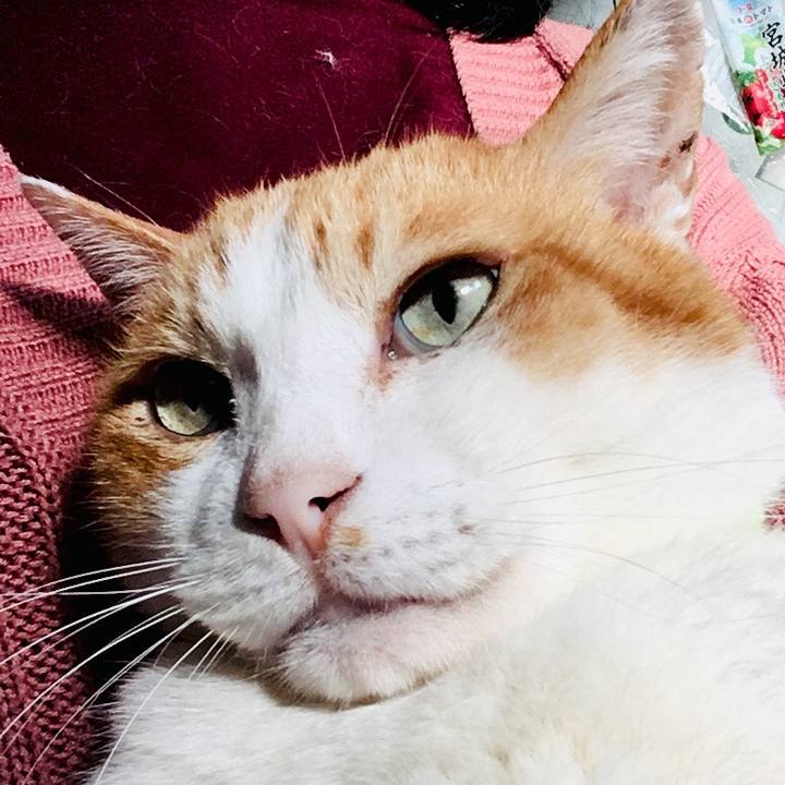 1c66b6de b033 4e89 8007 75cdfc53d973 1557006345733