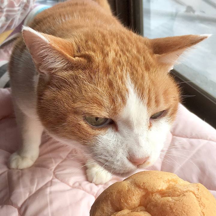 1c66c79a 3480 4dfb 8de2 35577987ef0e 1582361027271