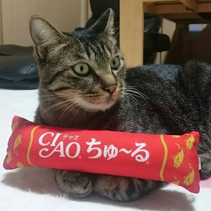 1c671134 800c 4da8 b666 a593c403d4e7 1508417102924