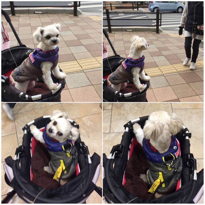 1c671923 e4a9 4597 9c69 603187be0933 1517647655420