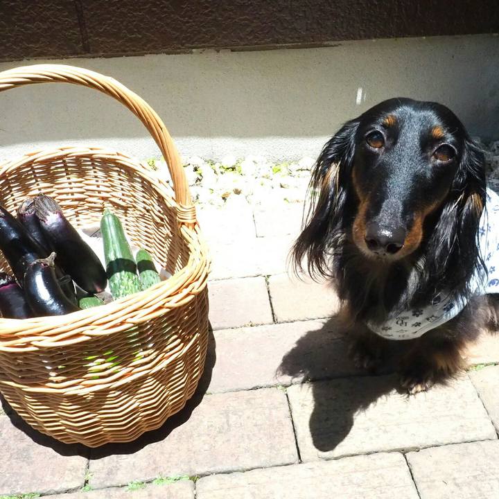 1c671ec9 777d 41fe a8b1 e9a7256c3d96 1528345465100