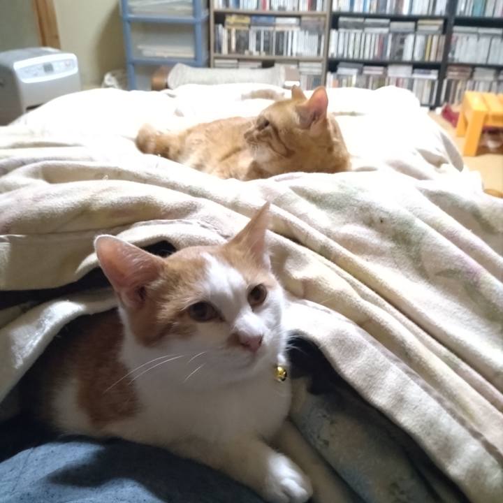 1c673a05 8212 43cf 8609 f6d10be79688 1736250931212