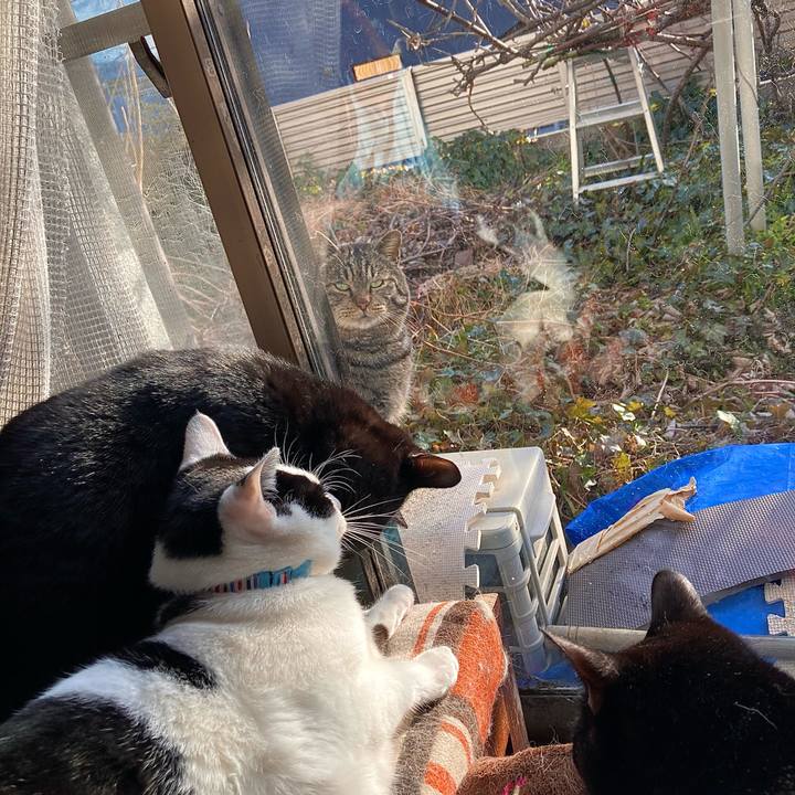 1c673a7f 6bf3 4cb4 8172 51ead4ced6c1 1649492829209