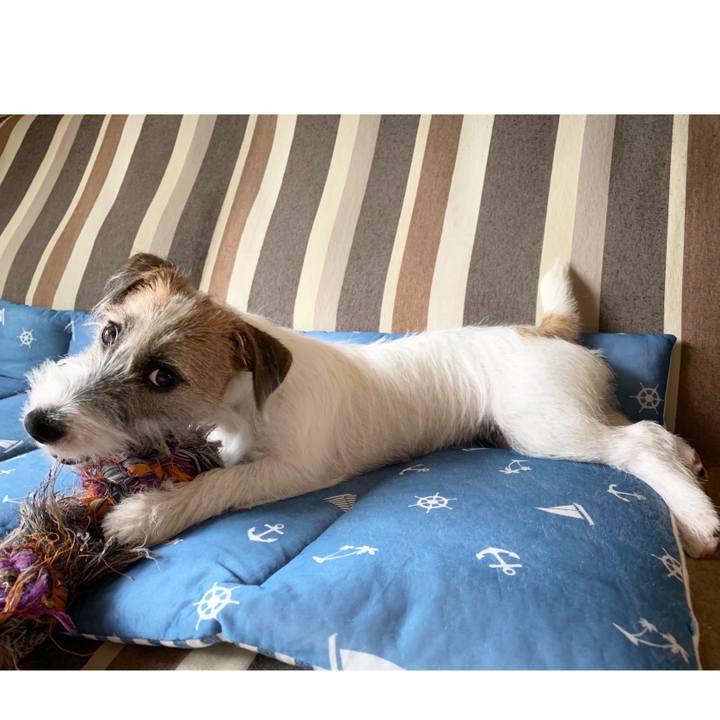 1c674b28 2831 4493 850f 014fb41b6546 1566793735560