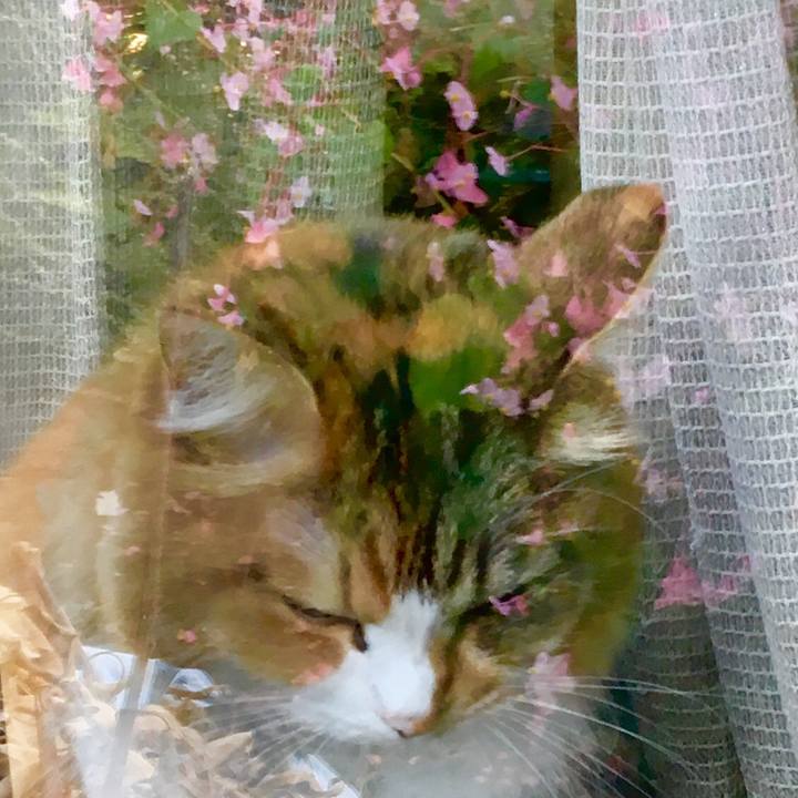 1c6757ab fd4d 4730 a5e4 67435e602ee5 1569813782337