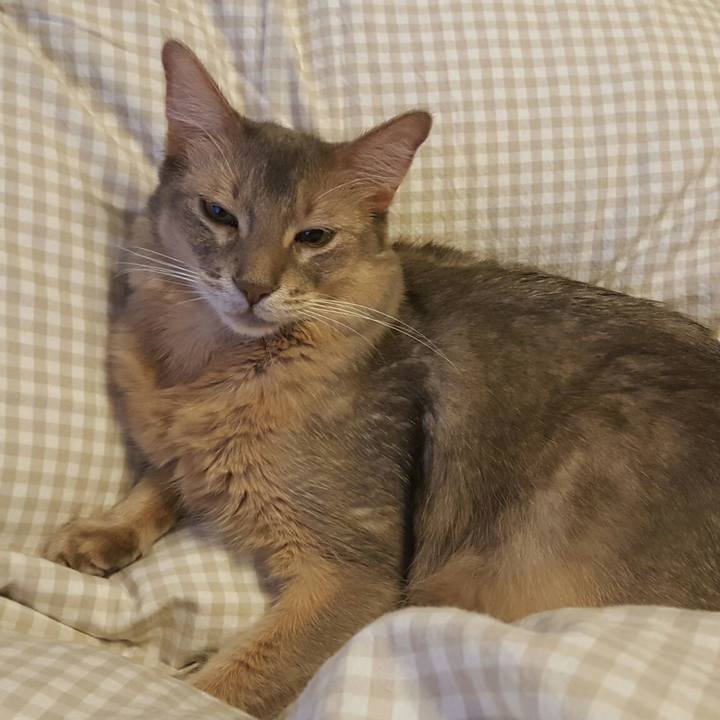 1c67b1bf c69a 4e9f b218 e643c25dda44 1541423897190