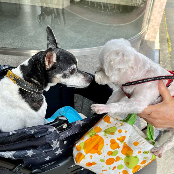 1c68198d 9678 4d8e b66f 1b0031fd3204 1656370780964