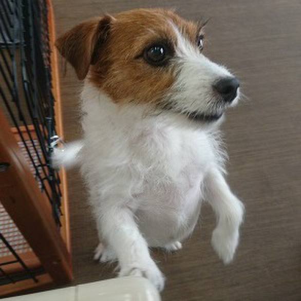 1c689cbf 0615 4c9a 81f8 d6ac0850320b 1542405402940