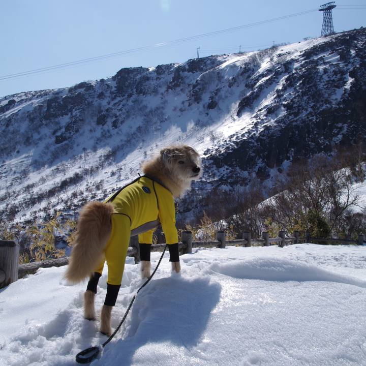 1c68fc22 8127 45e6 85ab fd54a7be3c8b 1614691732477