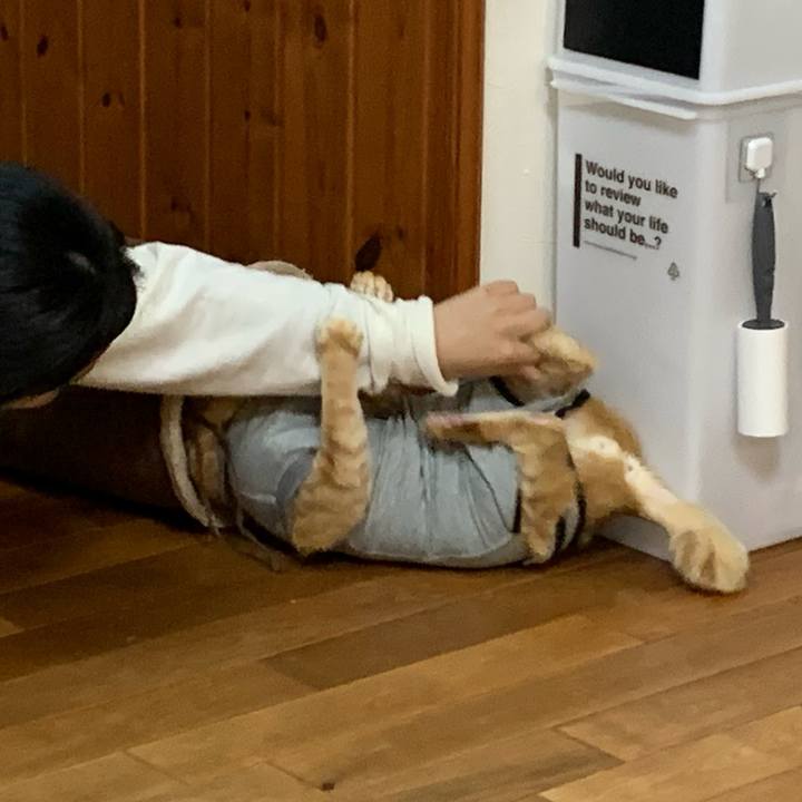 1c690935 df95 4b0a b307 3ec87b0c9b1f 1640948085911