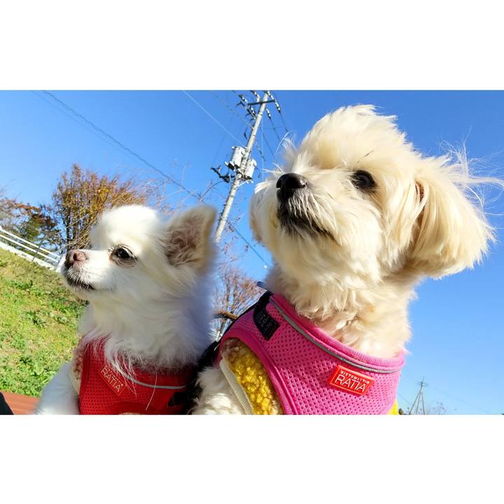 1c69435e 4b6b 47b6 9947 448dda276d7b 1638278134063