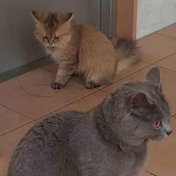 1c6972a4 fe54 4a80 bde7 e542e9897634 1559083520601