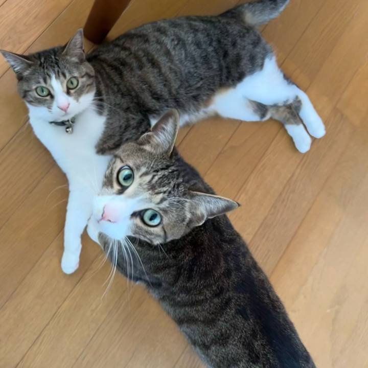 1c6975fc 65df 43b4 ba68 820fe765e143 1713958901831