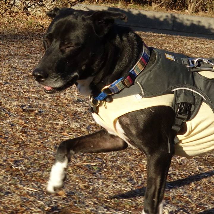 1c699d2e 3629 418e 9ddd 58c9e3003c78 1643072582290