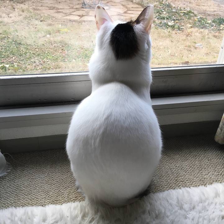 1c69a9aa d03d 4b84 9b88 05d8eeecd980 1546424361885