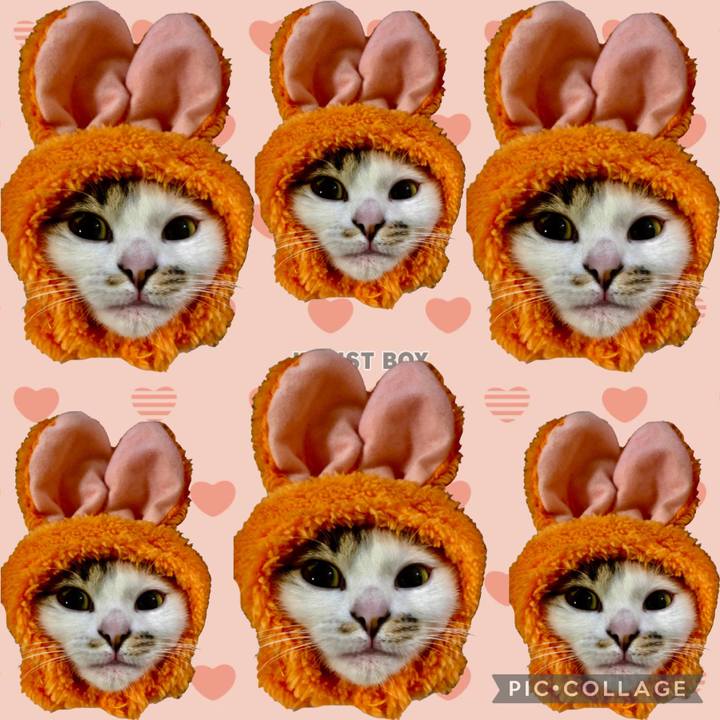 1c69cb09 a2e9 4c69 ab3e 5857c330b2c5 1672994038585