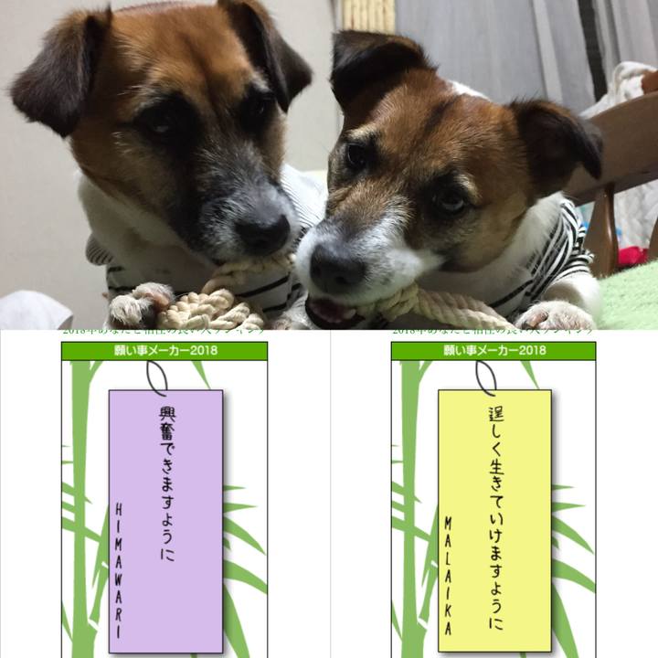 1c69f1a8 3ccb 4ab8 b791 f6195eaae183 1530933225445