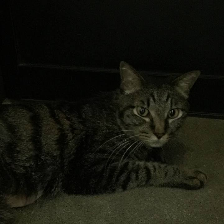 1c6a46e2 c1c2 40c6 87a7 c2b3a6f3c26a 1533731705821