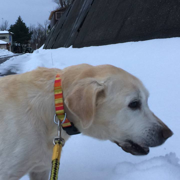 1c6a4d28 abfa 45de 82ab 93cbe66a9569 1515312881449