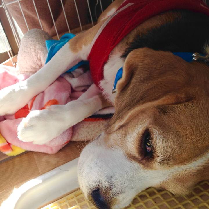 1c6aa722 2103 41a0 82bd 5e32d533e3fd 1733344111247