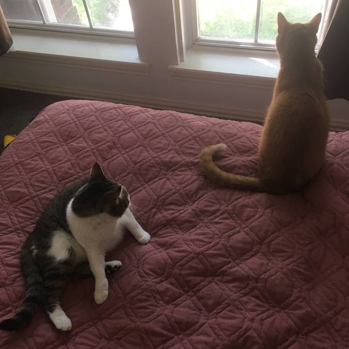 1c6acaa2 56e3 425e b245 de2221e533c7 1655077256651