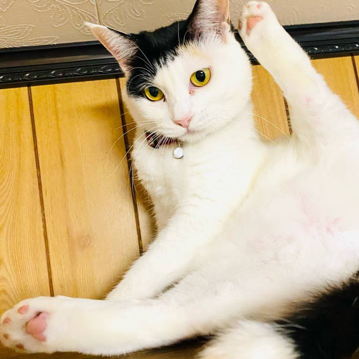 1c6b7167 ba47 43a4 84bb 5a878fe65cf3 1666267373541