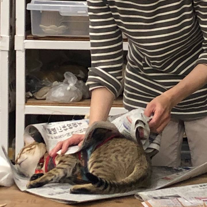 1c6bcd1f 6770 4d33 ac57 d219433297e9 1586532872869