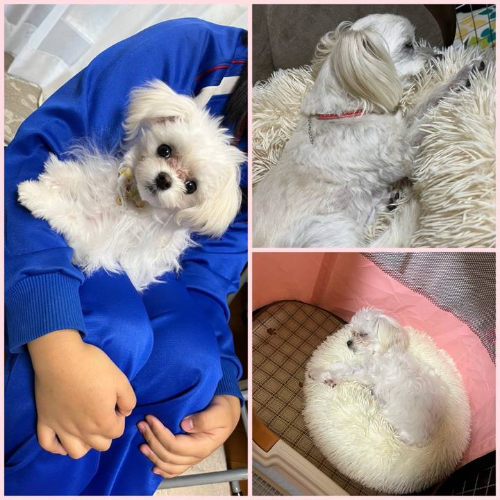 1c6c1754 c19e 4bc0 bf49 b60193adbd42 1708505260450