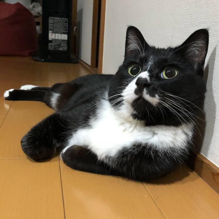 1c6c3500 993b 4b4b b5a5 07f50fceb89e 1653622609788