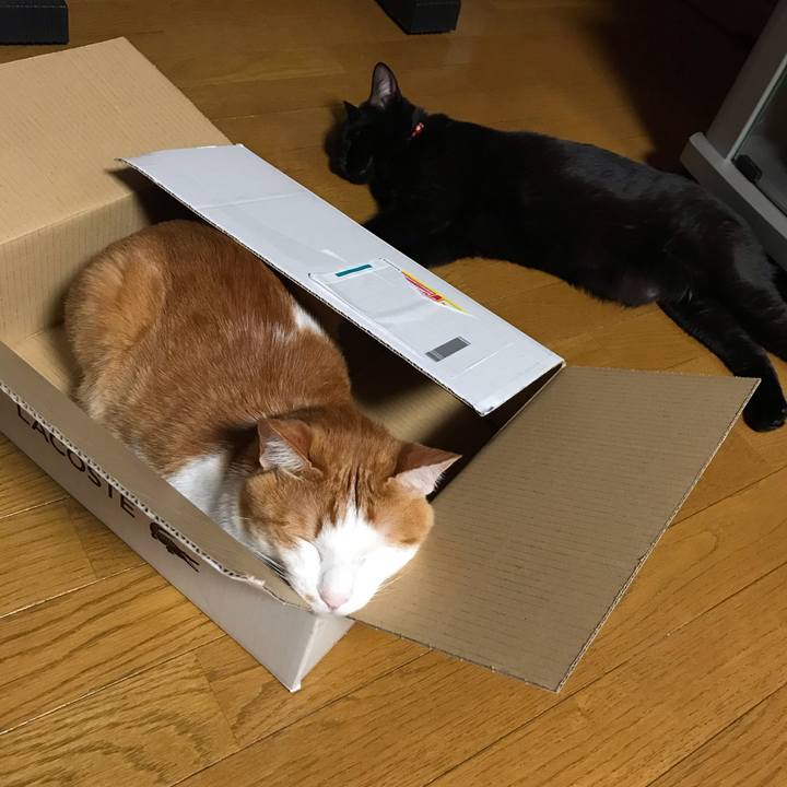 1c6c77c9 1751 4a0f b21b 8b230b919e72 1588772863167