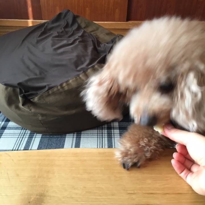 1c6c9115 7761 48e9 a95c 4785778806d7 1569591596041