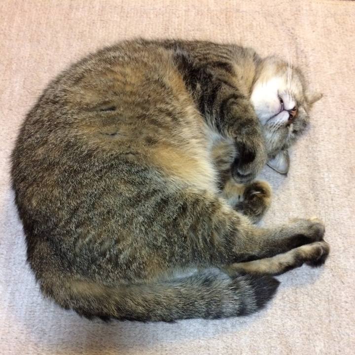 1c6c9d2e c591 4a84 a705 38605081d06d 1570968922351