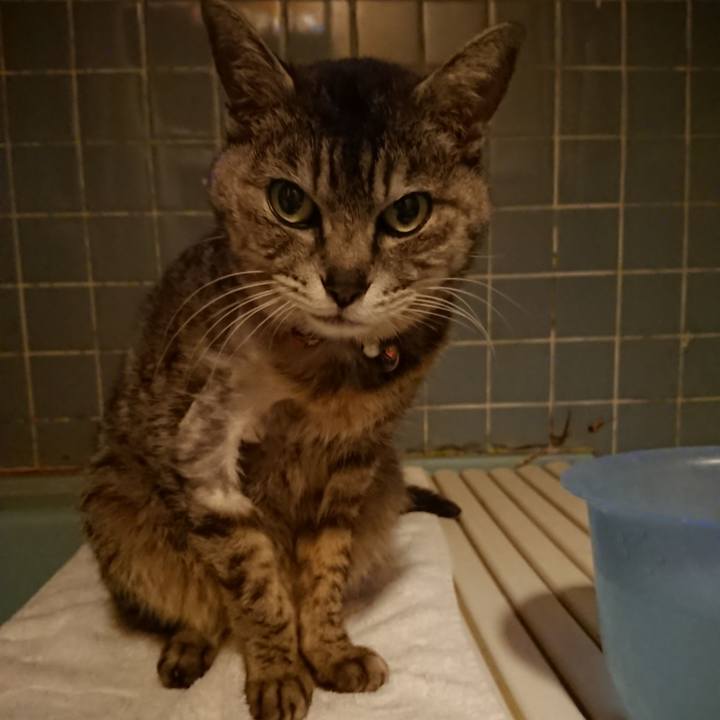 1c6cb592 eea9 4674 b6c1 442ad59de373 1591007234011