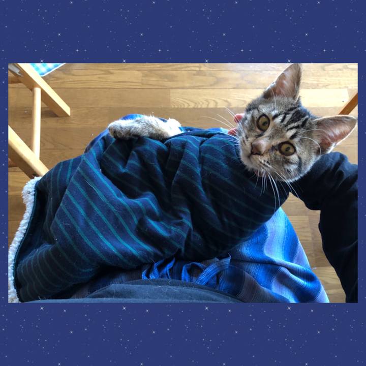 1c6cd286 5459 4b69 b6f1 c6c22c27811a 1731717356571