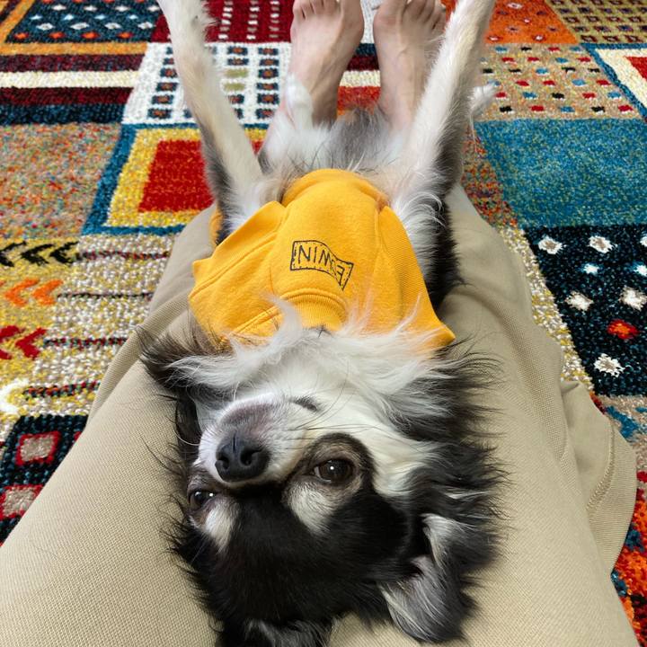 1c6cdce9 9f16 43d9 a729 49282741e7f9 1680446829882