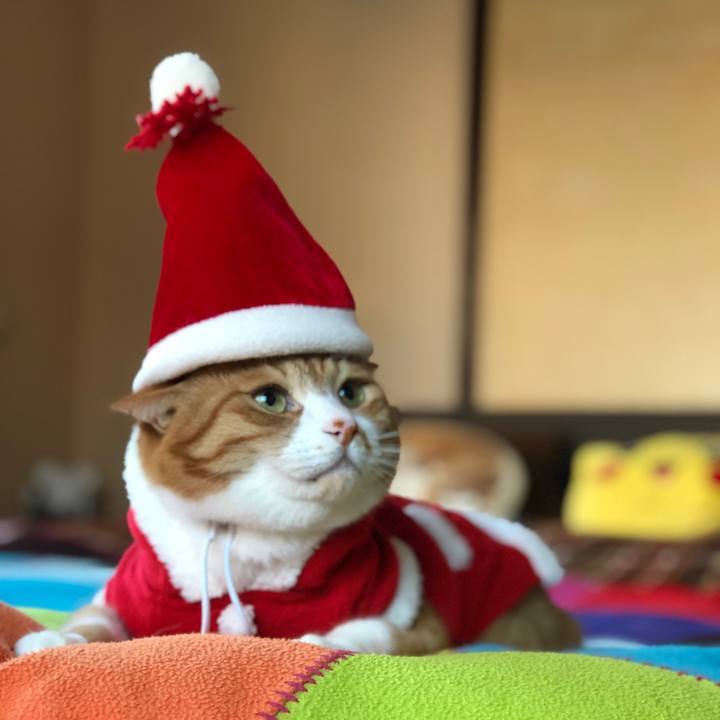 1c6cef83 aa5b 4d47 823b 0b4e5ce599c7 1545653046562