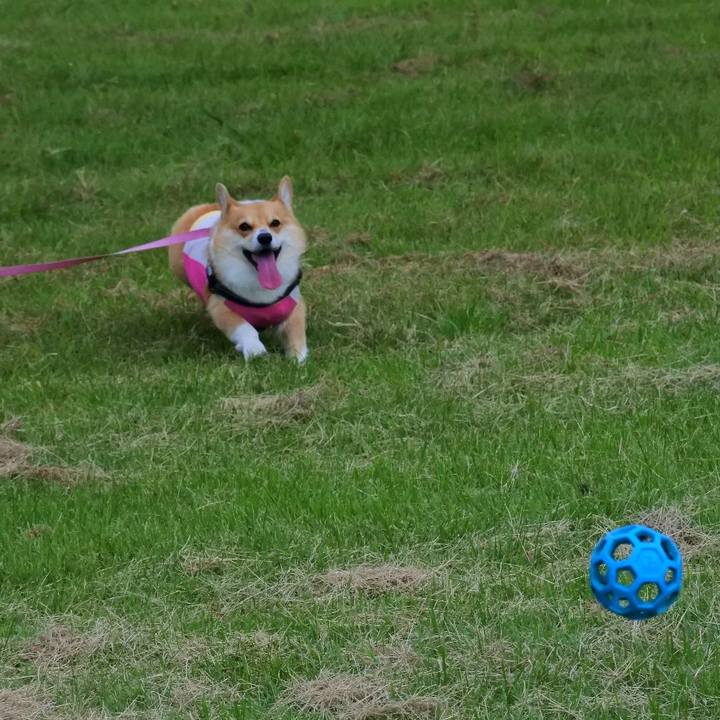 1c6d4cb9 94da 40fa b0ce 6c3c81e2163d 1601045958039