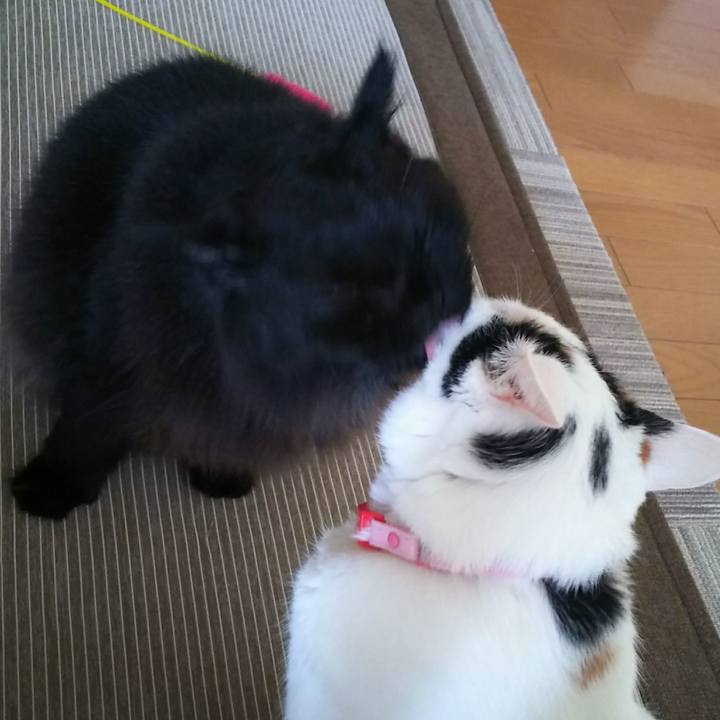 1c6d62b9 fcdf 4443 954b 2f9a93f378bf 1537395346916