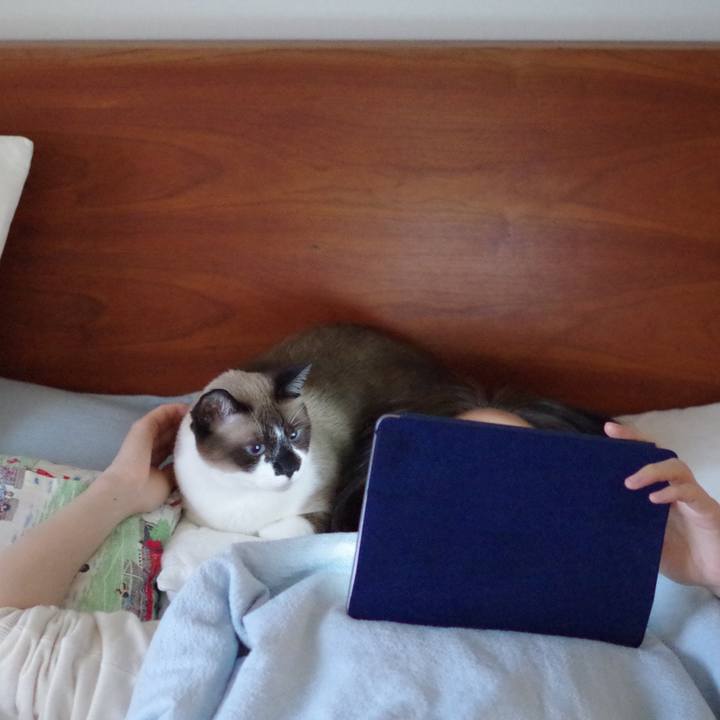 1c6d8532 6963 406d a652 810fd2a9e9c0 1556641387819