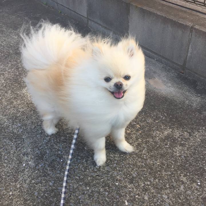 1c6dada6 61e0 4dbd affd 6e4e8df77e37 1530344846332