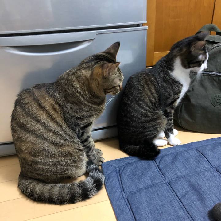 1c6ddee8 283a 4935 b5c6 1a29afcbabfe 1538930148993